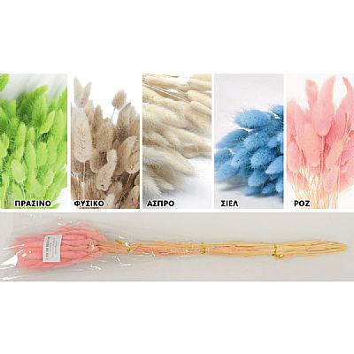 LAGURUS(ΓΑΤΑΚΙ) 60cm 0516158