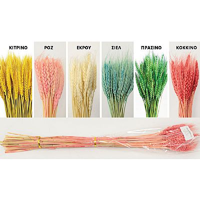 ΣΤΑΧΥ ΜΕ ΑΓΑΝΟ 70cm 0516155